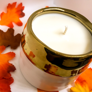 'Ginger Spice' Hand-poured 8oz. Scented Soy Candle