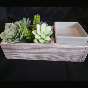 Suc-cute-lent Warmer