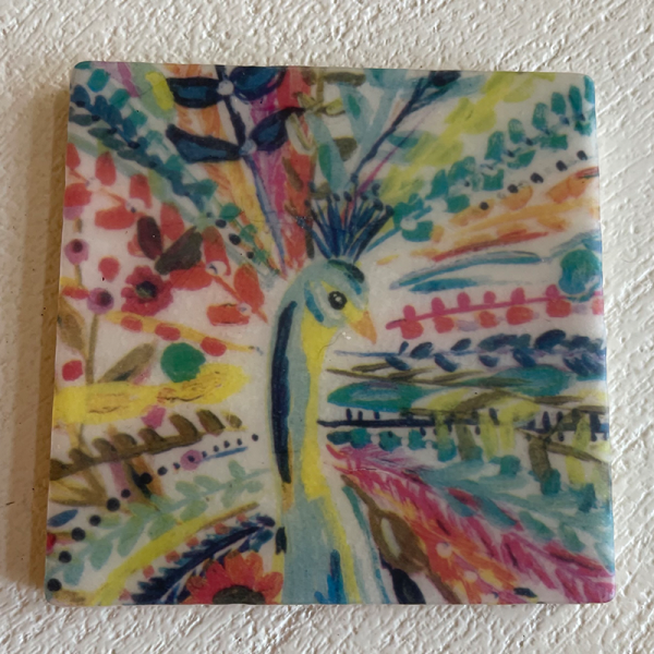 colorful peacock