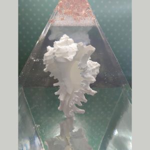 Dancing seashell