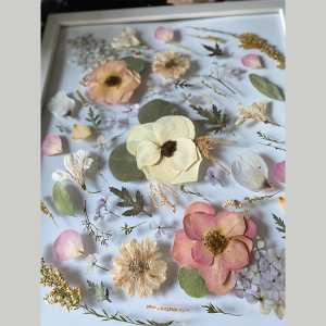 Pastels pressed and preserved