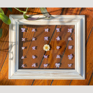 Petals in Time