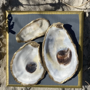 Small oyster canvas art